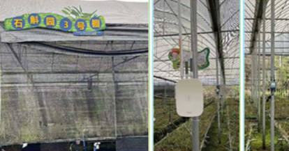 广东乳源县铁皮石斛种植基地项目应用——粤北深山里的少数民族自治县