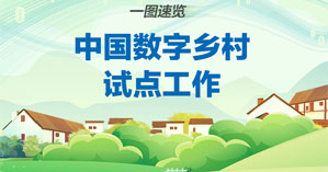一图速览 首批中国数字乡村试点工作