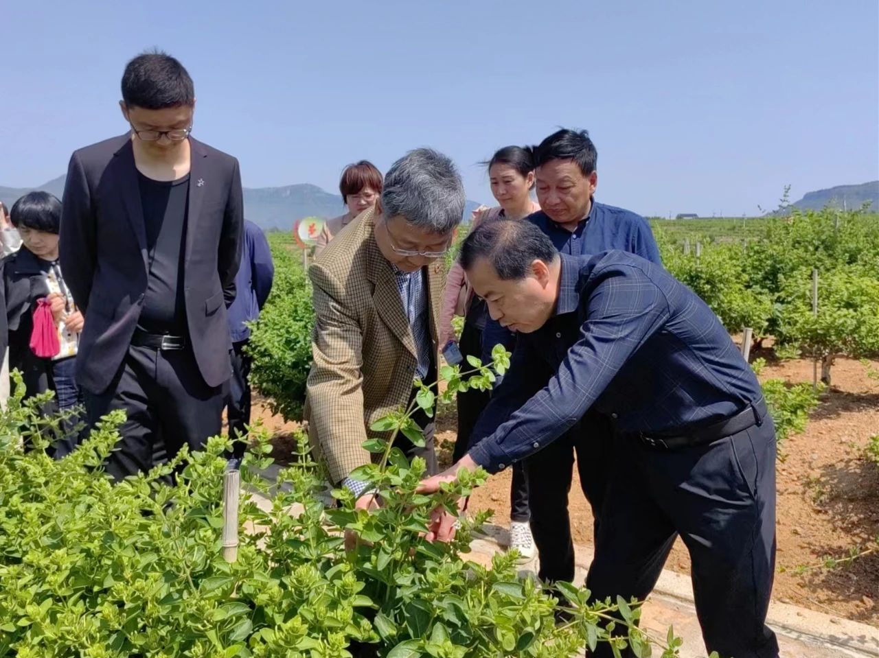 微信图片_20230511103540.jpg