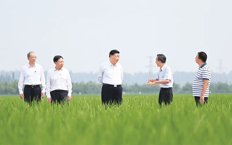 1684209152869607.png 图片4.png