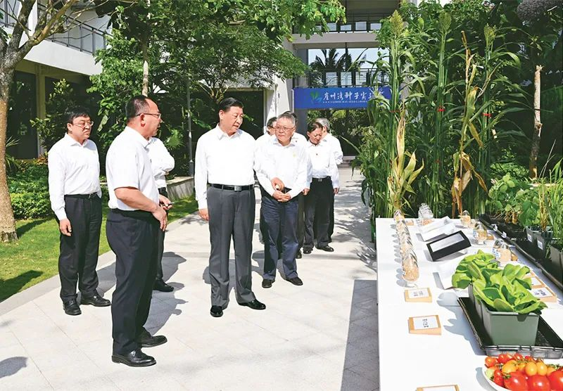 1684209168476499.png 图片5.png